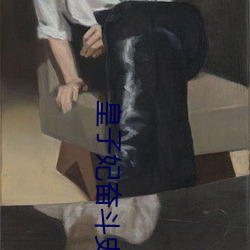 皇子(子)妃奋斗史(史)