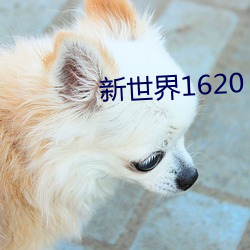 新世界1620