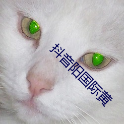 抖音阳(yáng)国(guó)际黄