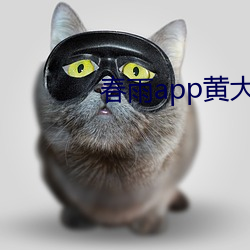春(春)雨app黄大(大)全