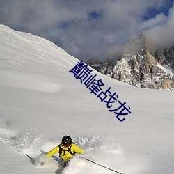 巅峰战龙