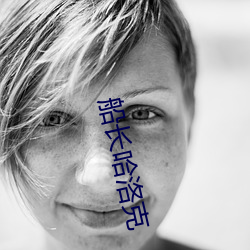 船长哈洛克(kè)