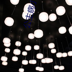公主病小舟遙遙