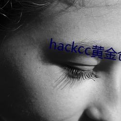 hackcc黄金客栈