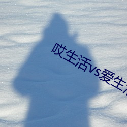 哎生活vs爱生活