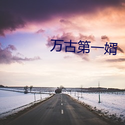 万古第(第)一婿(婿)