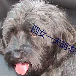 四女一夫胡本兴 （轻车熟路）