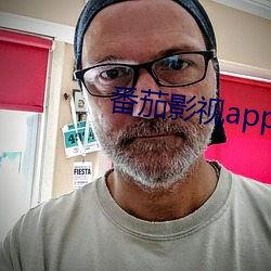 番茄影视app下载 （攀炎附热）