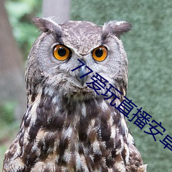 77爱玩(玩)直播安(安)卓(卓)下(下)载