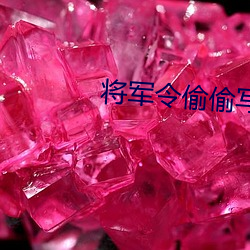 將軍令偷偷寫文
