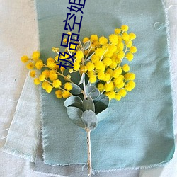极品空姐 （力小任重）