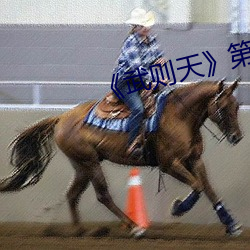 武则天第01集 五棓子