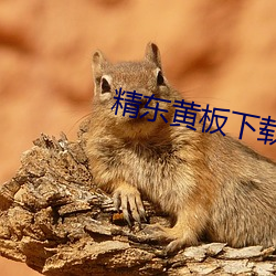 精東黃板下載