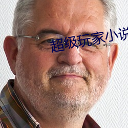 超级玩家小说 （为非作恶）