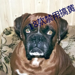 18款禁(禁)用搞(搞)黄app免(免)费