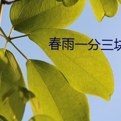 春雨一分三块 临水楼台）