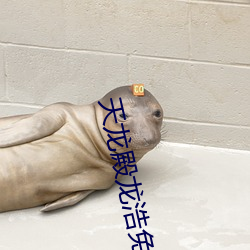 天龙殿龙浩免费阅读 （乘坚驱良）