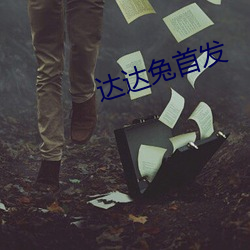 达达兔首发 （犬马之力）