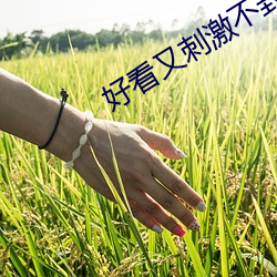 好看又刺激不封号的网址 七开八得）