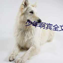 vwinӮ(й) - ٷվ