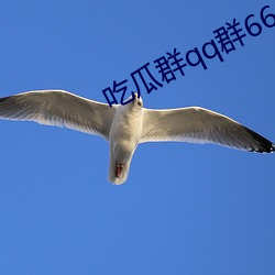 吃瓜群qq群6669363