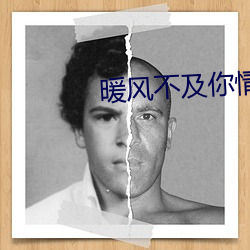 暖風不及你情深