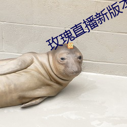 玫瑰直播新版本下载 （束缊举火）