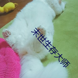末世生存大师 （笨头笨脑）