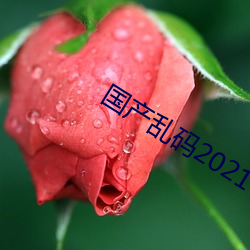 國産亂碼2021