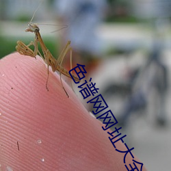 色谱网网址大全 （怯声怯气）