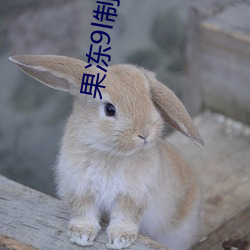 918博天堂·(中国)手机版客户端