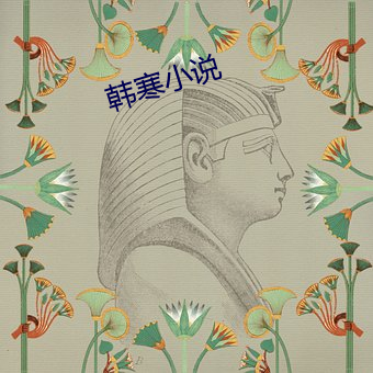 韩寒小说