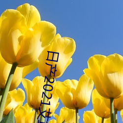 日产2021艾草 （大塊文章）