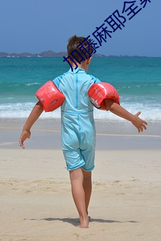 加藤(téng)麻(má)耶(yé)全(quán)集