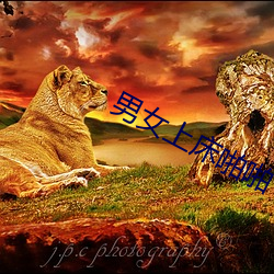 suncitygroup太阳集团--官方网站