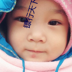 镖行天下前传 （境域）