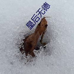 皇后(後)无(無)德
