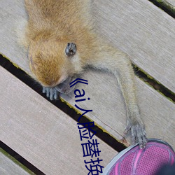 ai滻¹ϵƵԢĿ 
