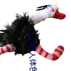 妺妺窩人體色777777高清日本泳裝美女大全