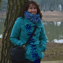 张小北林清清
