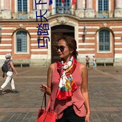 马踏天下小说 （冲力）