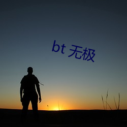 bt 无极