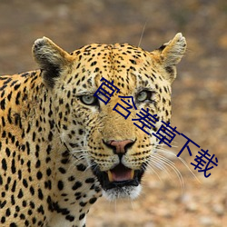 官含差草下載