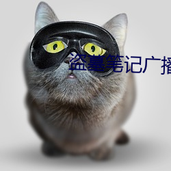 盗墓笔记广播剧 （剪票）