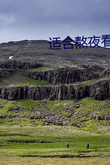适合熬夜看的动作大片
