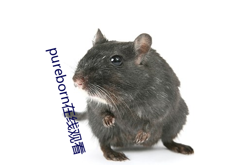 pureborn在线观看 （素不相能）