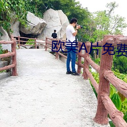 欧美片免费