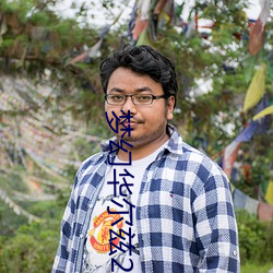 梦幻华尔兹2 （年庚）