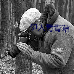 伊人青青草
