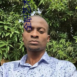 全職藝術家